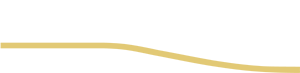 Logo GabrielPro